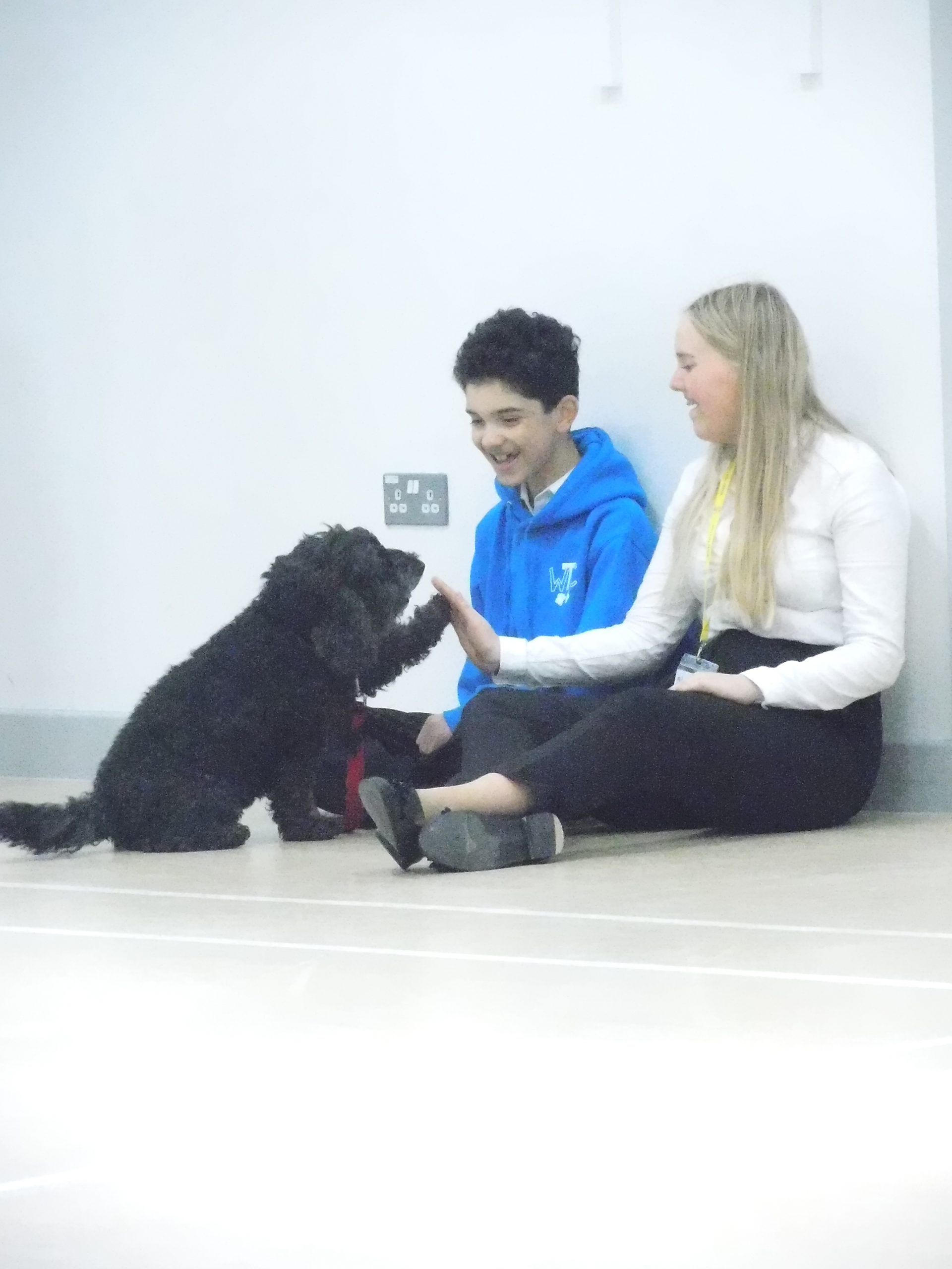 Waggy Tails Club gets professional dog trainer