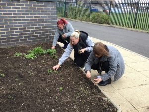 JJ's team working on the garden