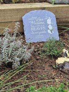 Plague to JJ in Willow Dene School’s city garden