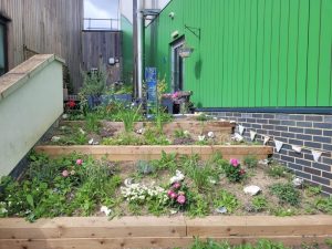 Willow Dene School’s city garden