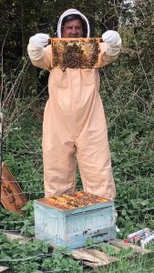 A beekeeper in a protective suit holds up a wooden frame covered with bees above an open hive box, surrounded by greenery