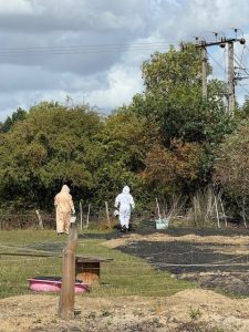 Two people in protective beekeeping suits walk across a fenced area with dark soil patches, near trees and utility poles in the background